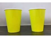 Kubeczki papierowe 20cl 10szt limonkowe (3104/85310)